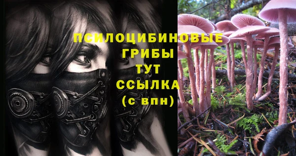 прущий лед Заволжье