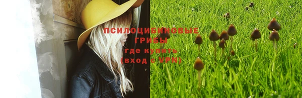 ECSTASY Заволжск