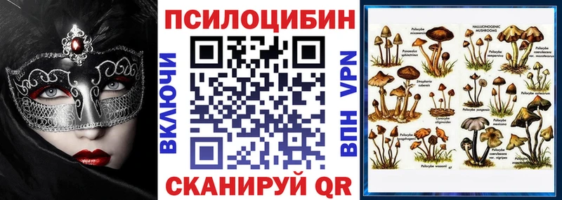 Галлюциногенные грибы прущие грибы  ссылка на мегу ТОР  Ессентуки 
