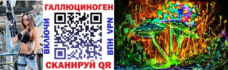 Псилоцибиновые грибы Psilocybine cubensis Ессентуки